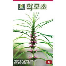 식용 색비름 2g - 씨 씨앗 색비름씨앗 색비름씨 안래홍 나물씨앗 민속채소 채소씨 채소씨앗 나물씨, 25_다농_익모초(1g)
