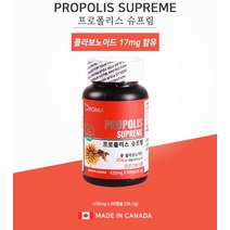 프로폴리스 캐나다산 플라보노이드 PROPOLIS 력강화