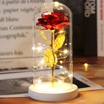 화병 도자기 유리 돌 6색 아름다움과 야수는 유리 돔에 발렌타인 선물 LED 로즈 램프 크리스마스, 19 white base red