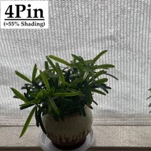 그늘막 40 55 차광 흰색 HDPE 자외선 방지 차양 그물 전망대 쉼터 야외 농업 정원 다육 식물 커버, 4Pin White+2mx6m, 4Pin White+2mx6m