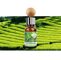 아반때HD하이브리드 방향제 디퓨저 고급 송풍구형 탈취 차향수 퍼퓸 향기마을, 향기마을디퓨저 / 제주녹차, 1개