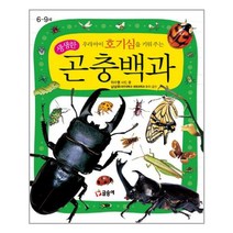 생생한 곤충백과