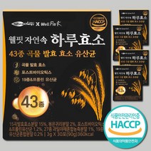 웰핏 웰핏 자연속 하루효소 43종 곡물 발효 효소 유산균, 90g, 5박스