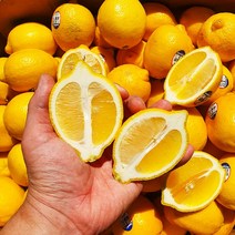 신선한 레몬 (개당 약 120g) 25과 45과 70과 140과 수입 제철 썬키스트 팬시, 썬키스트 레몬 140과(개당 120g)