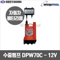 대화전기 수중펌프 DPW70C-12 DC12 미니양수기 펌프