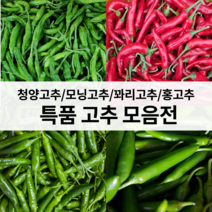 꼭지네 고추 청양 꽈리 모닝 홍고추 1kg 3kg 5kg 10kg, 청양고추