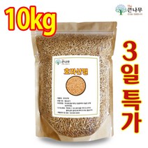 The큰나무 호라산밀 10kg 착한 탄수화물 터키산