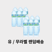 제주삼다수 유라벨 생수 2L, 12개