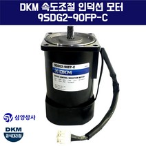 DKM 속도조절 인덕션 모터 9SDG2-90FP-C 단상 220V 15파이 감속기타입