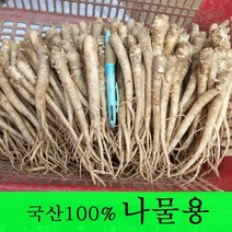 [금산도라지] 직접재배한 생도라지1kg >산지직송>국산도라지 약도라지 엑기스용 나물용 무침 정과용 배즙용 *국산100%*, 1개, 도라지(나물용) 1kg” class=”wr-img”></a></div>
</div>
</div>
</div>
<div class=