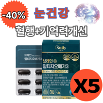 뉴일리 징코 알티지오메가3 30캡슐 은행잎추출물 노르웨이산 정제어유 홍삼농축분말 대두레시틴 플라보놀배당체 rTG 오메가3 루테인 혈행 눈 건강 에좋은 영양제, 5개