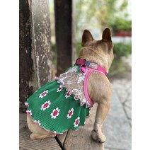 강아지 비옷 우산 대형견 우비 다이소 애견 개 여름 치마 드레스 비숑 테디 뚱뚱한 싸우는 깡패 쿨 서스펜더 스커트 고양이, [01] 녹색 흰색 레이스 스커트, [04] XL(프랑스 Dou 버전, 99 모델 표준 크