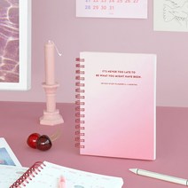 스터디 플래너 6개월 공부 기록 혼자 공부 수험생 공시생 스터디 노트, 핑크