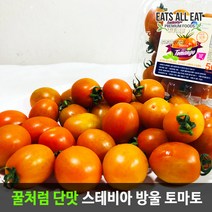이츠올릿 프리미엄 꿀맛 스테비아 방울 토마토 500g 산지직송 단 대추 토망고, 스테비아블랙스윗（500gx1팩）