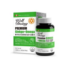 웰두잉 프리미엄 징코 + 오메가3 800mg 은행잎추출물 125mg기억력 혈행개선, 90캡슐, 2개