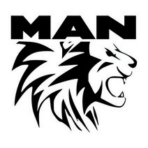 마이웨이카 만트럭 MAN 사자 로고 데칼 튜닝 홀로그램 대형 덤프 트럭 스티커 3, 우측, 1개
