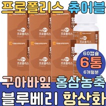 프로폴리스 구아바잎추출물 홍삼농축액 블부베리 캡슐 면역력 호주 스위스 캐나다 츄어블 분말 가루 스프레이 목 액상 뿌리는 bee propolis 그린 플로 폴리 비프로 포리