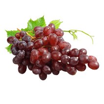 오렌지씨 포도_1kg~2kg_거봉(레드글로브)청포도크림슨적포도, 적포도크림슨_1kg_size(XXL점보)