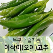 누구나 즐기는 아삭이(오이)고추 상 7kg, 1박스