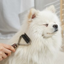 냥글댕글 몽몽 듀얼 브러쉬 반려동물 털 관리 제거, 몽몽듀얼브러쉬+건조캣닢증정