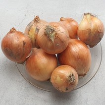 산지직송 무안양파 3kg 5kg 10kg 혀니러쉬, 03_양파10kg
