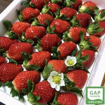 과일팔이소녀 산지직송 논산 프리미엄 선물용 신품종딸기 GAP인증 하이베리 금실 설향(900g내외), 30과(900g 내외)