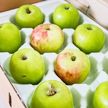 햇 경북 녹색사과 썸머킹 2kg 소과 12-14과, 단품