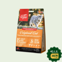 오리젠 고양이사료 오리지널 캣앤키튼 그레인프리 340g 1개, 오리젠 사료 오리지널 캣앤키튼 340g 1개