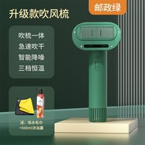 애견 강아지 드라이기 빗 고양이 가정용 털말리기 건조기 드라이어 반려동물 펫드라이기 미용 건조, 그린 사은품 증정