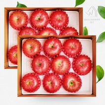 [웰굿]경북 정성담은 명품 사과선물세트 총6kg(3kg(9과내)x2), 2개