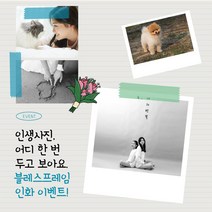 사진인화 핸드폰 카톡전송 스마트폰 스노우 증명사진 여권사진, 이미지풀(여백 있음&잘림 없음), 반광(스튜디오사진/일러스트/제품사진 추천), 8x10(20.3x25.4cm)