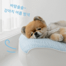 강아지 방석 여름 고양이 애견 쿠션 침대, 블루