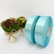 포장 리본 끈 제이제이리본 고밀도주자 45M 2롤 76칼라 (3mm 5mm), 3mm, 옥색