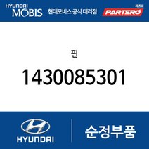 핀 (1430085301) 테라칸 갤로퍼 갤로퍼 이노베이션