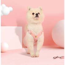 팝펫 강아지 하네스+리드줄 세트, 파스텔 연두