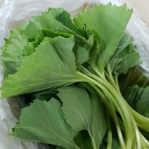 새벽들 쌉싸름한 머위쌈 머위잎 머우 머구 생 머위 특품 ( 2kg )