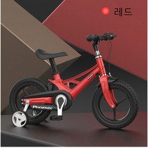 디와이(DY) Phoenix 아동 어린이 자전거 12 14 16인치 레드 무지개 블랙 핑크, 레드+12인치