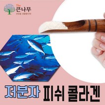 저분자 콜라겐(국내가공) 100gx1팩/피쉬콜라겐/어류/어린콜라겐, 1개, 100g