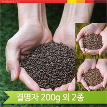 국내산 건강차 흑메밀볶음 결명자 200g 결명자차, 결명자(143Z)