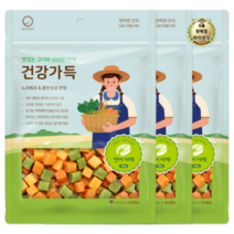 라이브잇 굿데이 강아지 건강가득 간식 300g, 연어 + 야채, 33개, 연어 + 야채