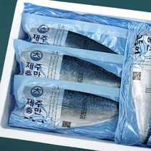 제주 특대 순살 고등어 산지직송 수협 뼈없는 손질 고등어, 특대 1kg이상 5쪽, 1개