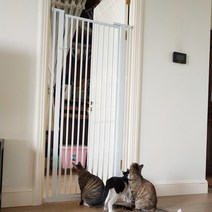 방묘문 펜스 고양이방충망 가드 안전문 고양이, 높이 120cm 자동닫힘