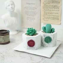 육각마블 선인장 샤쉐스톤 석고방향제 +리필오일 5ml 인테리어소품, 블랙체리, 버건디, 수박선인장