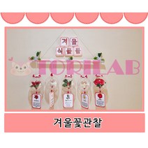 겨울꽃관찰 / 겨울꽃 / 겨울교구 / 꽃관찰 / 관찰교구