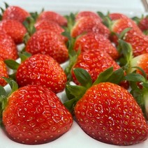 원예농협 과즙팡팡 익산 설향 딸기 750g+750g(총1.5kg)방탄포장새콤달콤상큼선물용, 단품