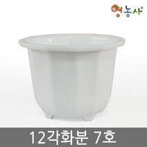 12각화분 7호 / 플라스틱화분 인테리어 분갈이