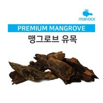 맹그로브유목(중) 25cm [체리새우/crs새우/생이새우키우기] 애완관상용새우놀이터