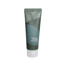 이즈앤트리 머그워트 카밍 클레이 마스크 100ml, 1개