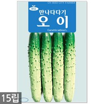 보라색 가지고추 10립 - 고추씨 고추씨앗 씨앗 씨 가지 고추 보라색고추 주말농장 텃밭, 04_만나다다기오이(15립)
