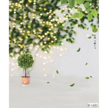 백일상 배경지 돌잔치 100일셀프촬영 셀프백일상 사진관배경 배경 천 포토존, 1.25X2 H-1481